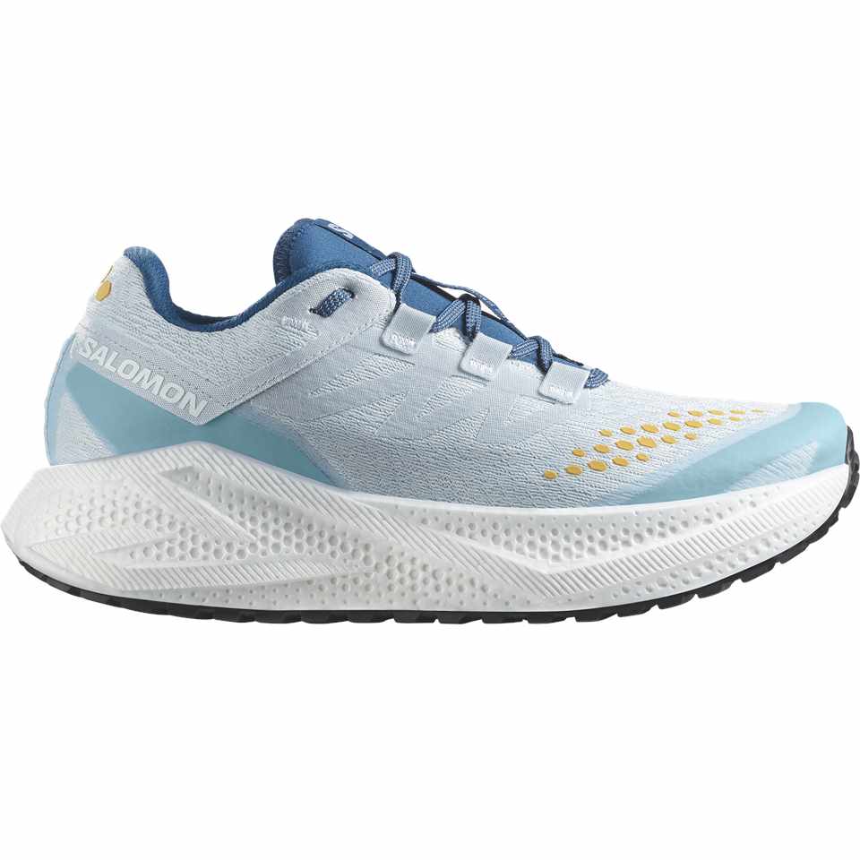 Salomon Aeroglide GRVL